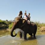 Riding elephants in the jungle