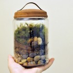 Mossy terrariums, mini parcels, and holiday festivities